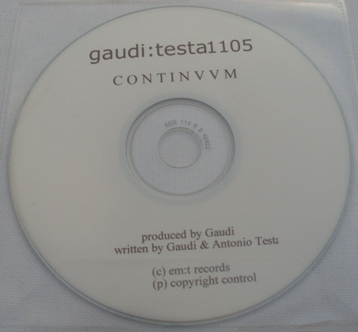 Gaudi – Testa 1105